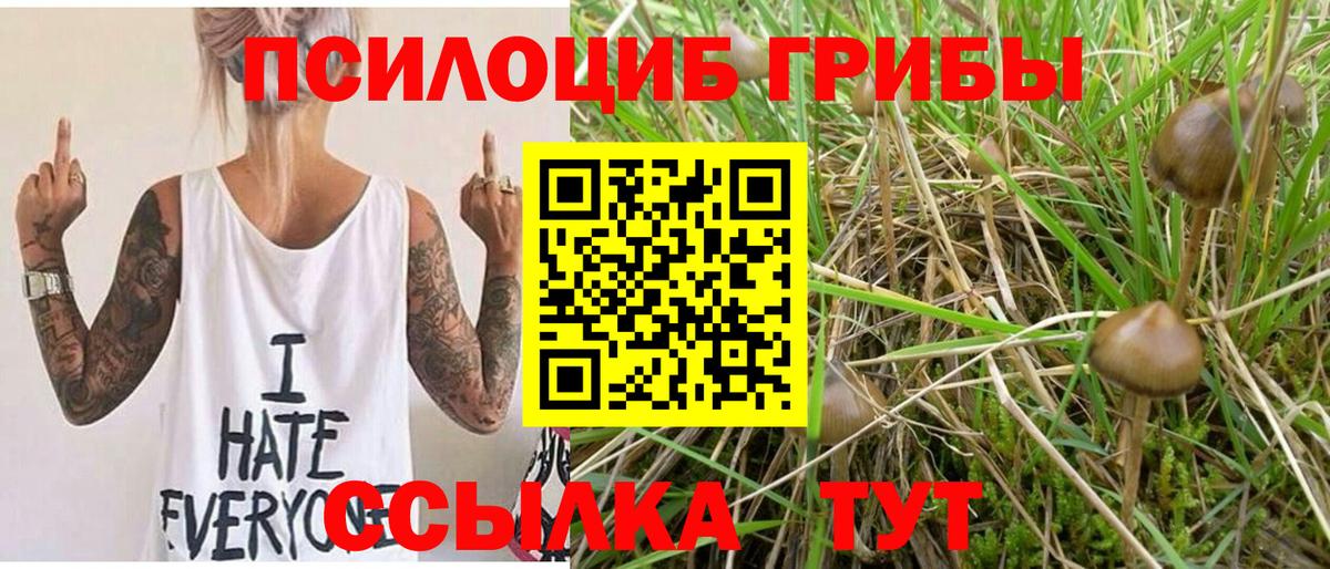 Псилоцибиновые грибы ЛСД Волжск